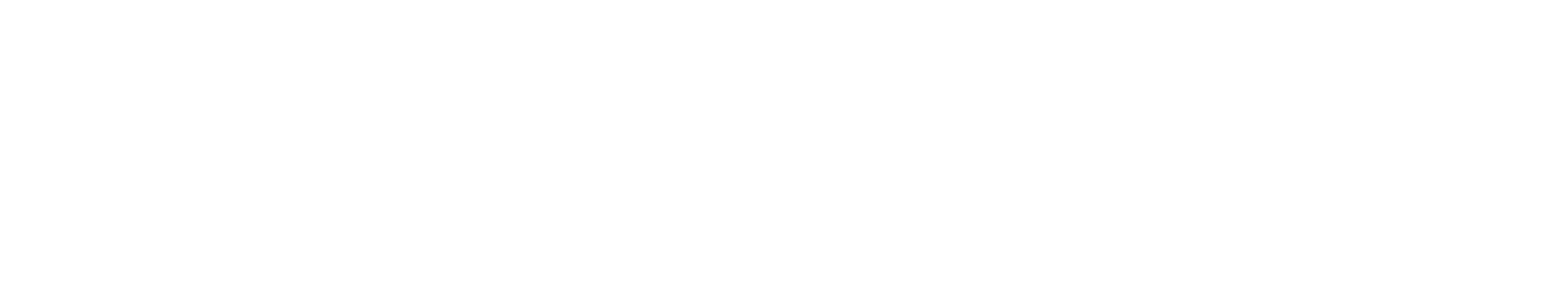 AXIS GLOBAL